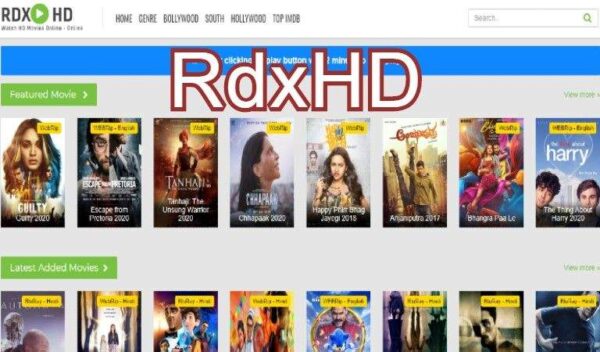 Everything You Need To Know About Rdxhd, Latest Bollywood Movie Torrent Site