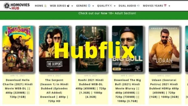 HubFlix 2022: Hubflix 300mb Movies Download Hindi Dubbed Hollywood and Bollywood Movies