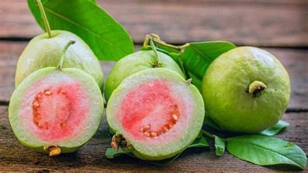 5 Amazing Health Benefits Of Guava