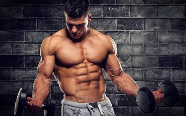 A Comprehensive Guide to Wellhealth How to Build Muscle Tag