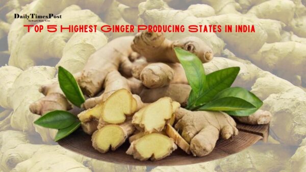 Top 5 Largest Ginger Producing States in India