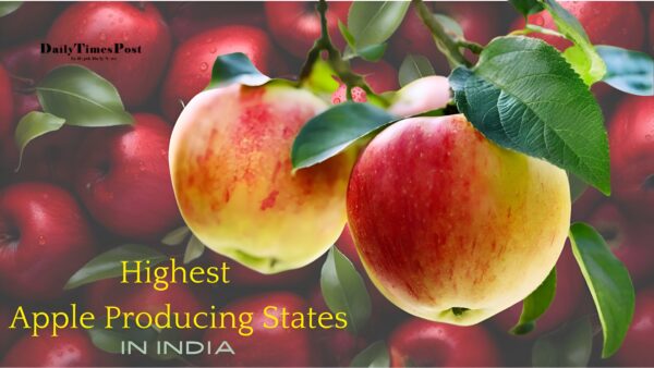 Highest Apple Producing States in India