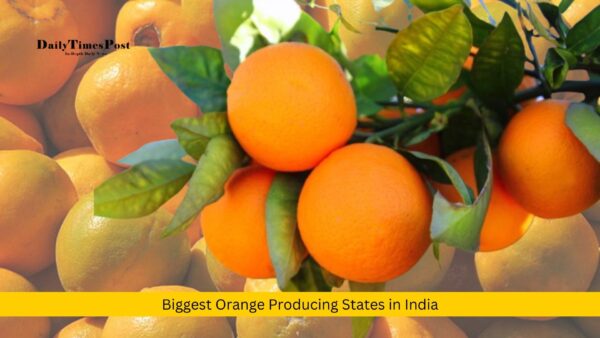 Biggest Orange Producing States in India