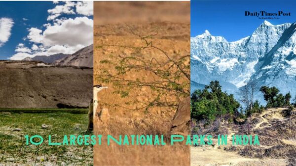 Exploring the 10 Largest National Parks in India