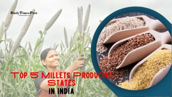 Top 5 Biggest Millets Producing States in India: A Nutritional Powerhouse