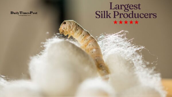 Top 10 Largest Silk Producers in the World