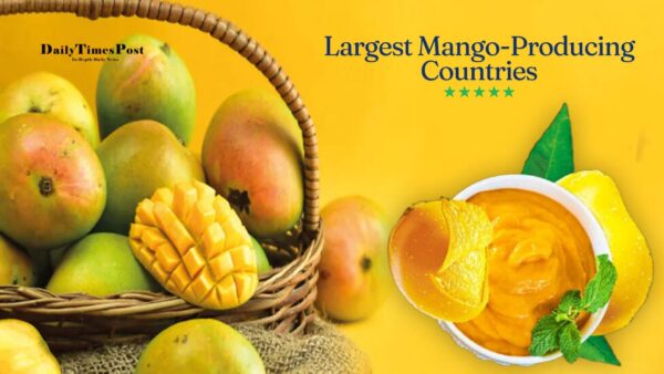 Largest Mango-Producing Countries